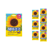 롯데제과 해바라기 초코볼 80g x 8개