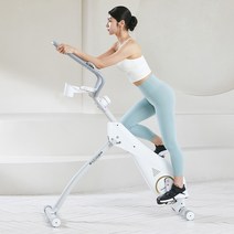 엑사이더 하이엔드 런닝 바이크 EX460 서서타는 자전거 실내 스피닝 헬스 스핀 사이클, 런닝바이크(EX460)_방문설치(수도권)