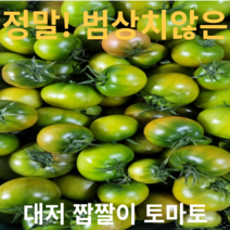 부산 대저 프리미엄 짭짤이토마토 짭짤이 토마토 못난이 짭짤이토마토2.5kg 맛보장 방울짭짤이토마토 소과s, 특품L(2.5kg)