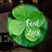 nr532-LED액자25R_행운만가득하길, 옵션선택:본품