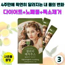 샐러리매직주스 디톡스 클렌즈주스 몸속노폐물 독소제거 해독주스 체중 피부 건강 관리 단기 다이어트-사은품증정, 3개(2.5gx42포)
