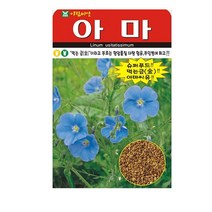 SN월드 씨앗 민속특수씨앗 약초 곰취 냉이 와송 삼채 더덕 도라지 당귀 잔디, 아마