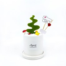 하이디이 피쉬본 생선뼈선인장 키우기 다육 식물 플랜테리어 선물, 식물만(기본플라스틱포트)