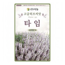 타임 허브씨앗 1000립