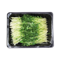 완두순 1팩 500g