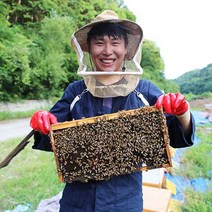천연 벌꿀 아카시아꿀 야생화꿀 (잡화꿀) 밤꿀 꽃따라꿀따라, 1.2kg, 1개, 1.2kg (유리병)