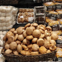 국내산/부여 (동고) 생 표고버섯 1kg / 가정용/김장용 /육수용/가루용/식당용/대량용 산지직송, 10kg