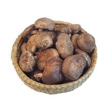 청년농부 버서시오 표고버섯 650g 보통