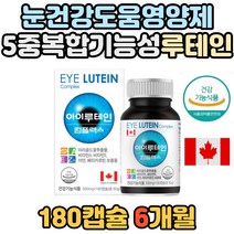 캐나다 눈 건강 야간운전 안구건조 루테인 비타민E 노인 여성 남성 부모님 직장인 비타민A 마리골드 꽃 추출물 침침한눈 건조한눈 눈이침침할때 식약처인증 로테인 루테히 LUTEIN