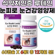 식약처인증 부모님눈영양제 루테인 눈피로영양제 6통 어린이루테인 빌베리루테인 메리골드효능 눈충혈 황반변성영양제 베타카로틴 아연 망막수술 어린이눈영양제 눈비문증 황반부종 루테인추천