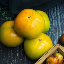 디애니몰 창원 태추 단감 2kg ~ 5kg 창원단감 배단감 대추단감 태추감 배감 생감 햇단감 햇감 선물용과일, 정품, 3kg 16~22과 소과