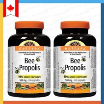 홀리스타 비 프로폴리스 500mg 200 캡슐 Holista bee propolis, 200정, 2개