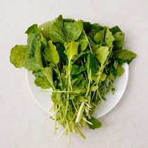 [메가마트]겨울초 봉, 1개