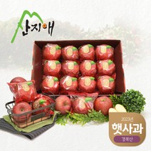 산지애 [2023햇사과] 씻어나온 꿀사과 3kg 1box (중과), 1박스