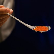 스테인리스강 캐비어 숟가락 새는 숟가락 알젓 트럼펫 숟가락 분자 요리 양식 요리사 실용 도구, 생선 숟가락 10마리