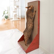 펫라이프 스크래쳐 월플러스 와이드 45cm, 기본, 1개