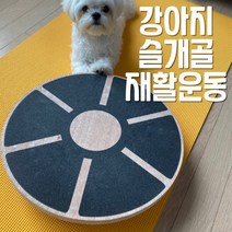 스몰티즈 강아지 짐볼 밸런스보드, 1개