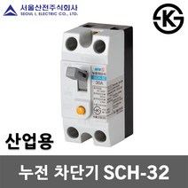 서울산전 누전 차단기 SCH-32 15A 20A 30A 2P 2.5kA 30AF ELB ELCB 누전용차단기 누전차단기 국산 배전반 배전함 분전반 분전함 가정용 산업용, 누전 SCH-32 15A