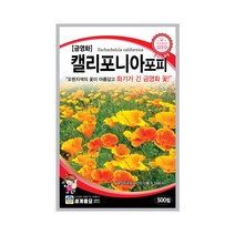 모칸도 (무배)세계 금영화 캘리포니아 포피 꽃씨 (500립), 1개