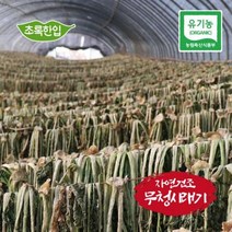 [초록한입] 국내산 유기농 건무청시래기 100g, 1, 본상품선택