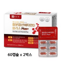 임산부 철분제 여성 여자 철분 영양제 엽산 비타민D 비타민B12 효능 약국 추천 종근당, 2box [총4개월분], 500mg*60캡슐[2개월]
