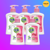 데톨 스킨케어 핸드워시 250ml x5개