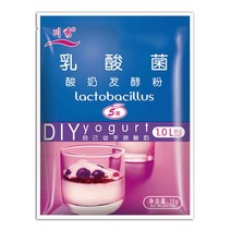 집에서 만든 유산균 발효 분말 제조기 20 종 요구르트 효모 스타터 천연 프로바이오틱스 10g 수제