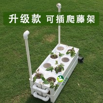 가정용 식물재배기 수경재배기 식물 재배기 흙재배 설비가 없는 가정 베란다 채소기 수배채소 재배상자 스마트 다층수, 옵션03, 크다