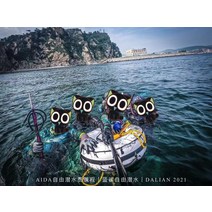 작살 총 야외 어획, 없음