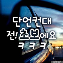 자동차스티커 단언컨대전초보예요ㅋㅋㅋ 화이트시트지 초보운전 차량용스티커 차량용스티커주문제작 차량스티