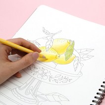 6000힐링컬러드로잉(쉬운버전)