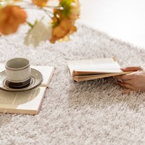 애나하임 거실러그 사계절 미니 대형 양털 양모 장모 러그 rug