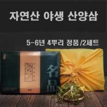 산양삼 장뇌삼 뇌두 자연산 야생 씨앗 먹는법 진세노사이드 사포닌 총4뿌리 정품 산양산삼 장뇌삼뇌두, 2세트, 4뿌리