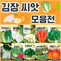 김장 채소 씨앗 모음 / 배추 무 당근 알타리 갓 엇갈이 양파 종자 씨, 20. 청아무30g