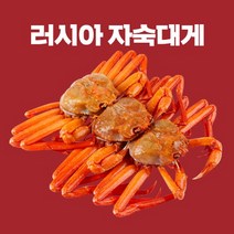 청춘홍게 일반 고급 3kg 5kg, 러시아대게 800g~1.2kg, 1마리, 1kg내외