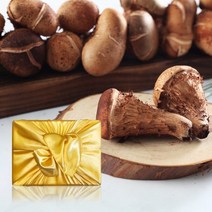 향채움 명절 후 배송향채움上품 국내산 참송이버섯 1kg 선물세트 -인증