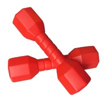 ANER아동용 덤벨 2개/세트 아동용 플라스틱 핸드 덤벨 홈 짐 운동 바벨 어린이 운동 피트니스 스포츠 장난감 선물, red