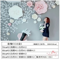 자이언트 플라워 벽장식 대형 입체 종이꽃 돌잔치 파티, 패키지 16