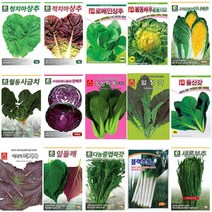 호미닷컴 엽채류 채소씨앗 - 김장씨앗 배추씨앗 무씨앗 야채씨앗 항암 수박무 나물 꽃 허브 잔디 쌈채소 씨앗, 엽채62. 새론부추