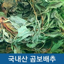 [금산약초시장] 곰보배추 곰보배추차 100g 1팩 (빠른, 1개