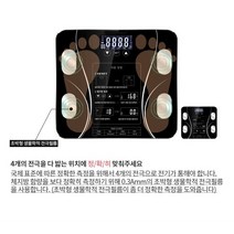 비만도측정기 여성인바디 체지방측정기 체수분 골량 다이어터 체중계 저울 인바디기계, 블랙, 블랙