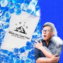 시베리아 쿨패치 물 주머니 세트 10개 쿨팩 아이스 펀치 얼음팩 얼음 타박상 휴대용 국산 냉찜질, 라운드 쿨팩 전용 스카프