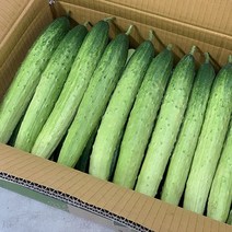 원동FS 국내산 백오이 백다다기오이 조선오이 1박스(10kg), 1개