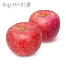 고당도 껍질째먹는사과 햇사과 부사사과 5kg 19~21과