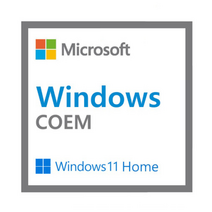 윈도우 11 홈 64bit DSP 한글 설치 제품키, windows 11 home dsp