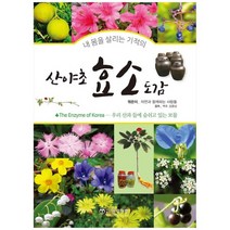 [윤미디어] 산야초 효소 도감, 없음