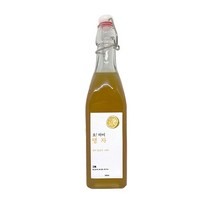 [힘찬걸음] 오 마이 탱자 국내산 탱자 발효액 100% 탱자 액기스 효소