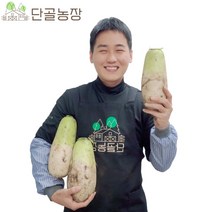 제주 산지직송 아삭아삭 비세척 월동무 겨울무 무우, 월동무 / 7kg / 4~7개