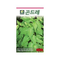(DN) 곤드레(고려엉겅퀴) 씨앗(1000립)