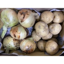 감자 양파 세트 1박스 햇감자 햇양파 2.4kg 4.4kg, 4.4kg 1박스
